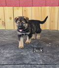 Deposit for Jack