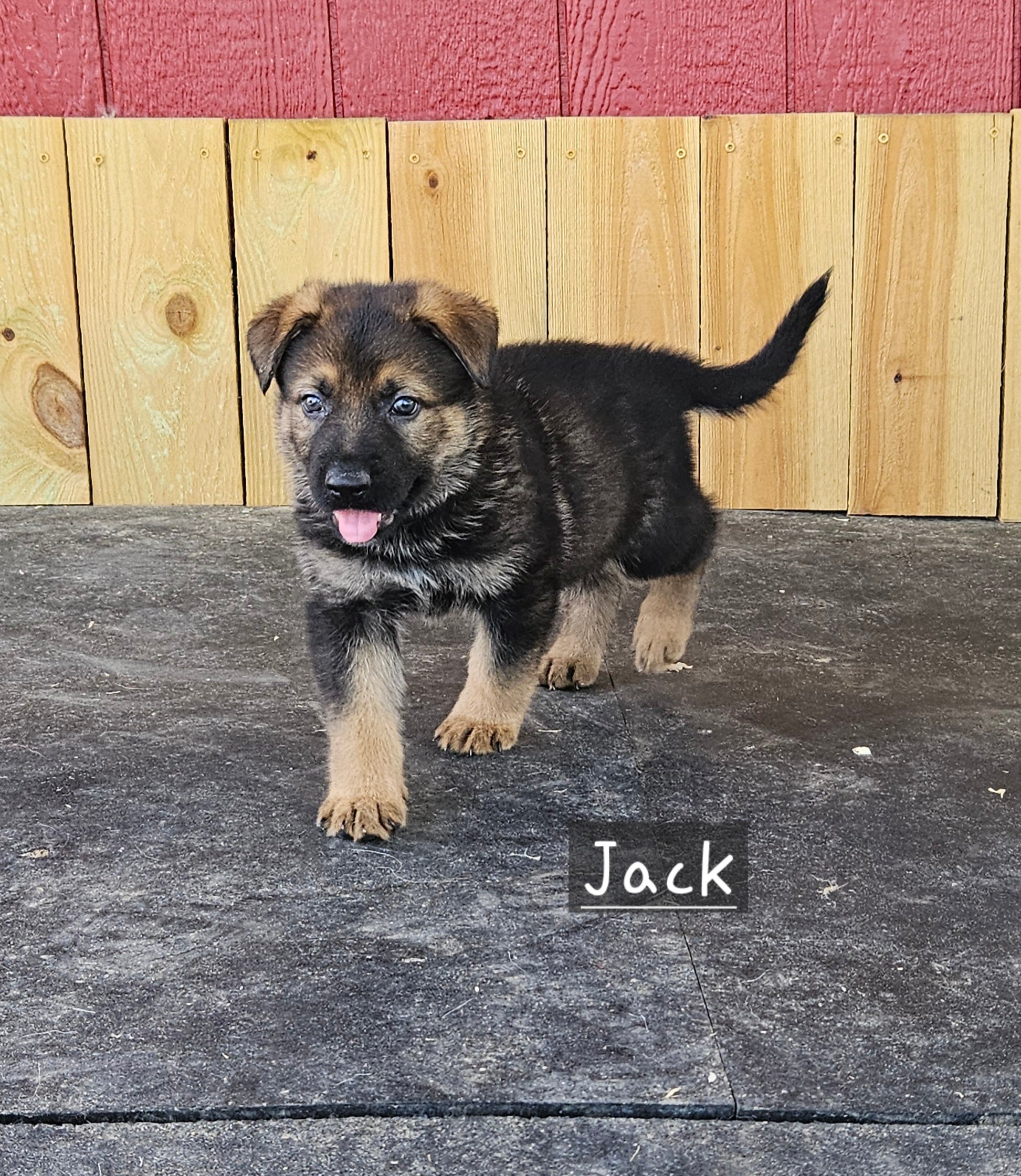 Deposit for Jack