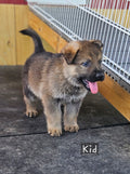 Deposit for Kid