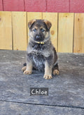 Deposit for Chloe