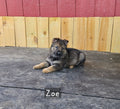 Deposit for Zoe