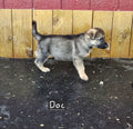Doc - Green Collar