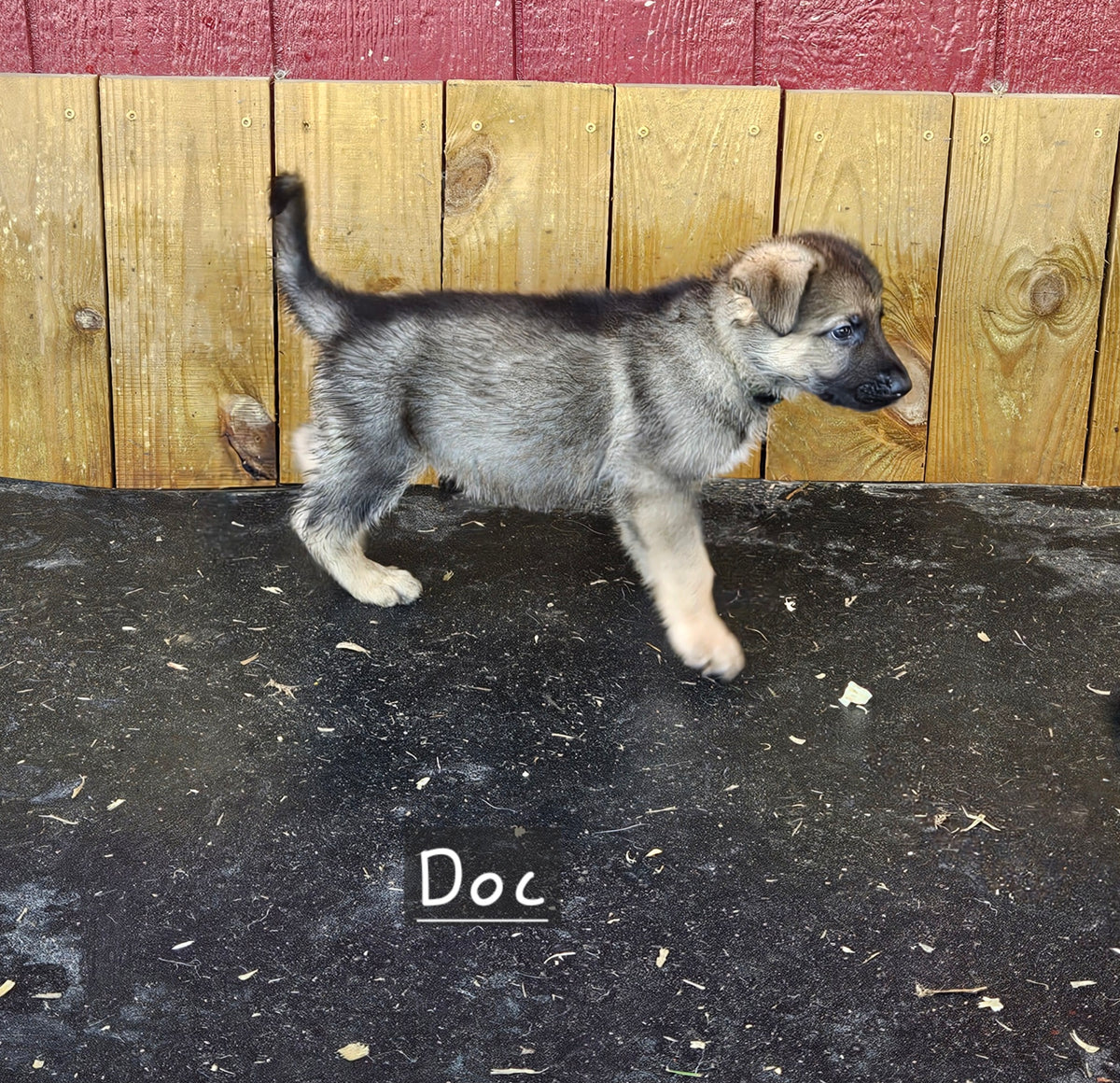 Doc - Green Collar